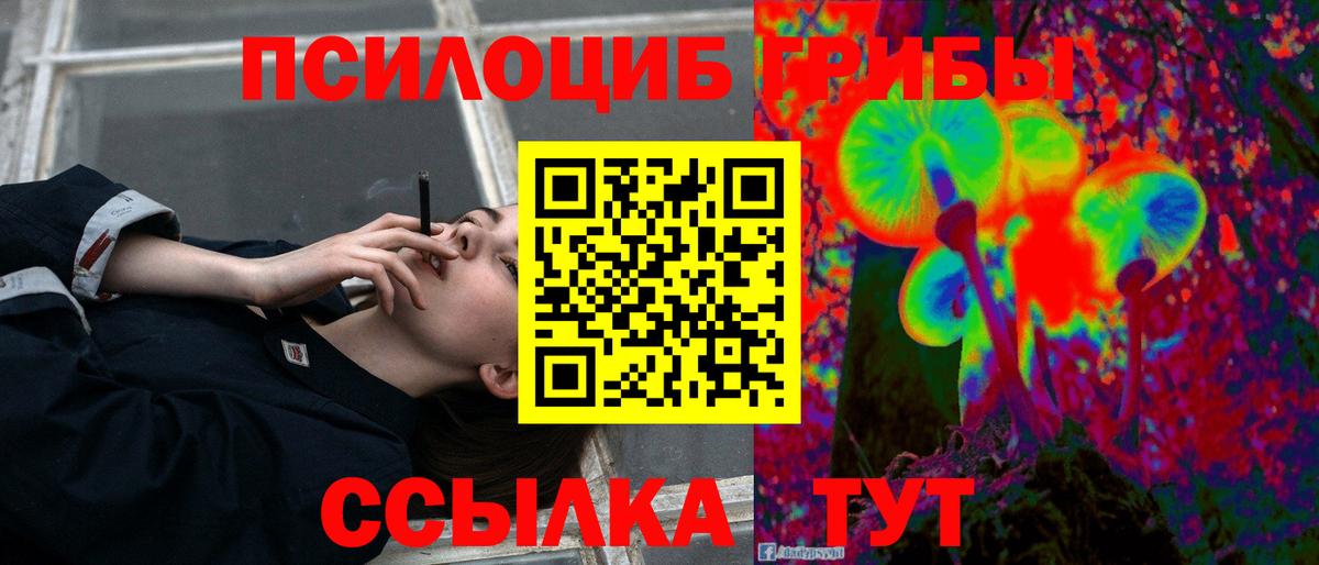 Псилоцибиновые грибы Psilocybine cubensis Магнитогорск